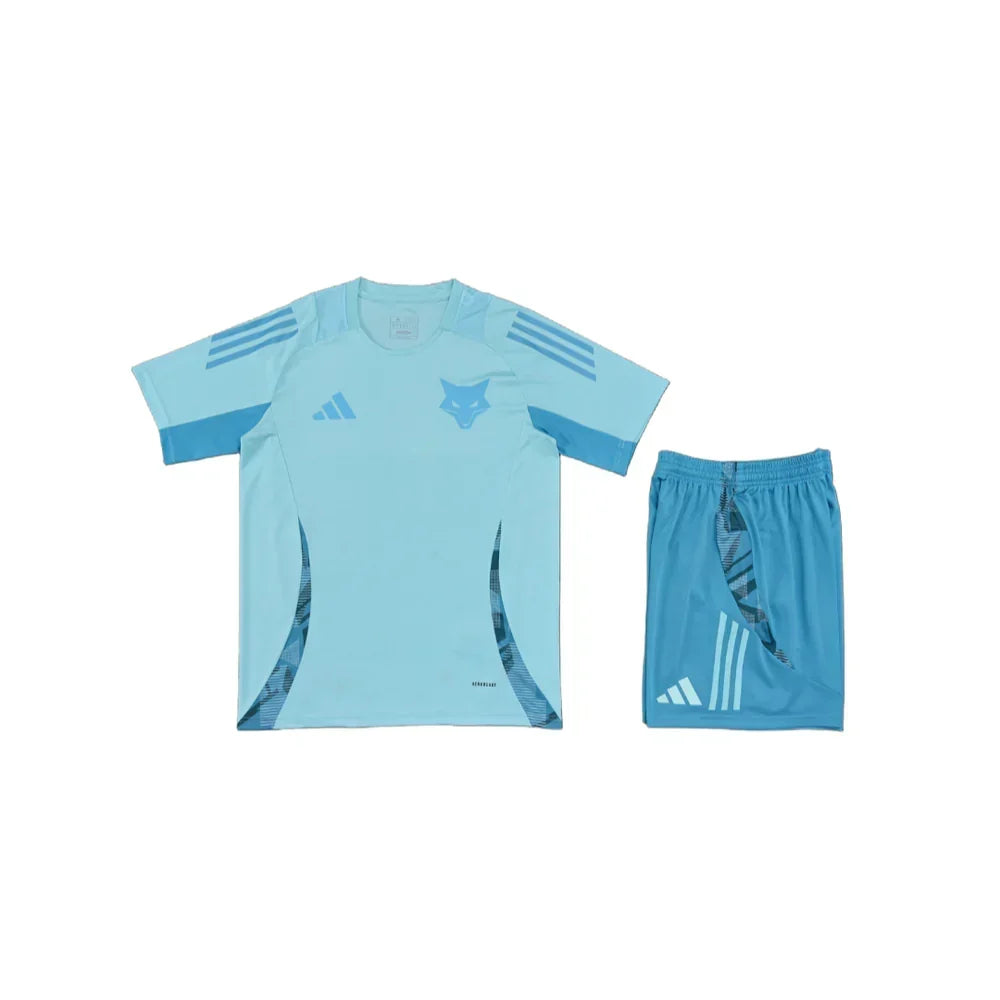 Ensemble Cruzeiro "Bleu" Training